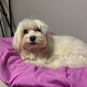 Meet your Posher, Gabby